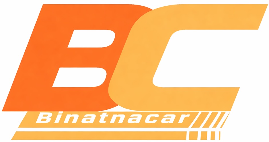 BinatnaCar